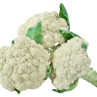 Summer Fancy F-2148(2)700